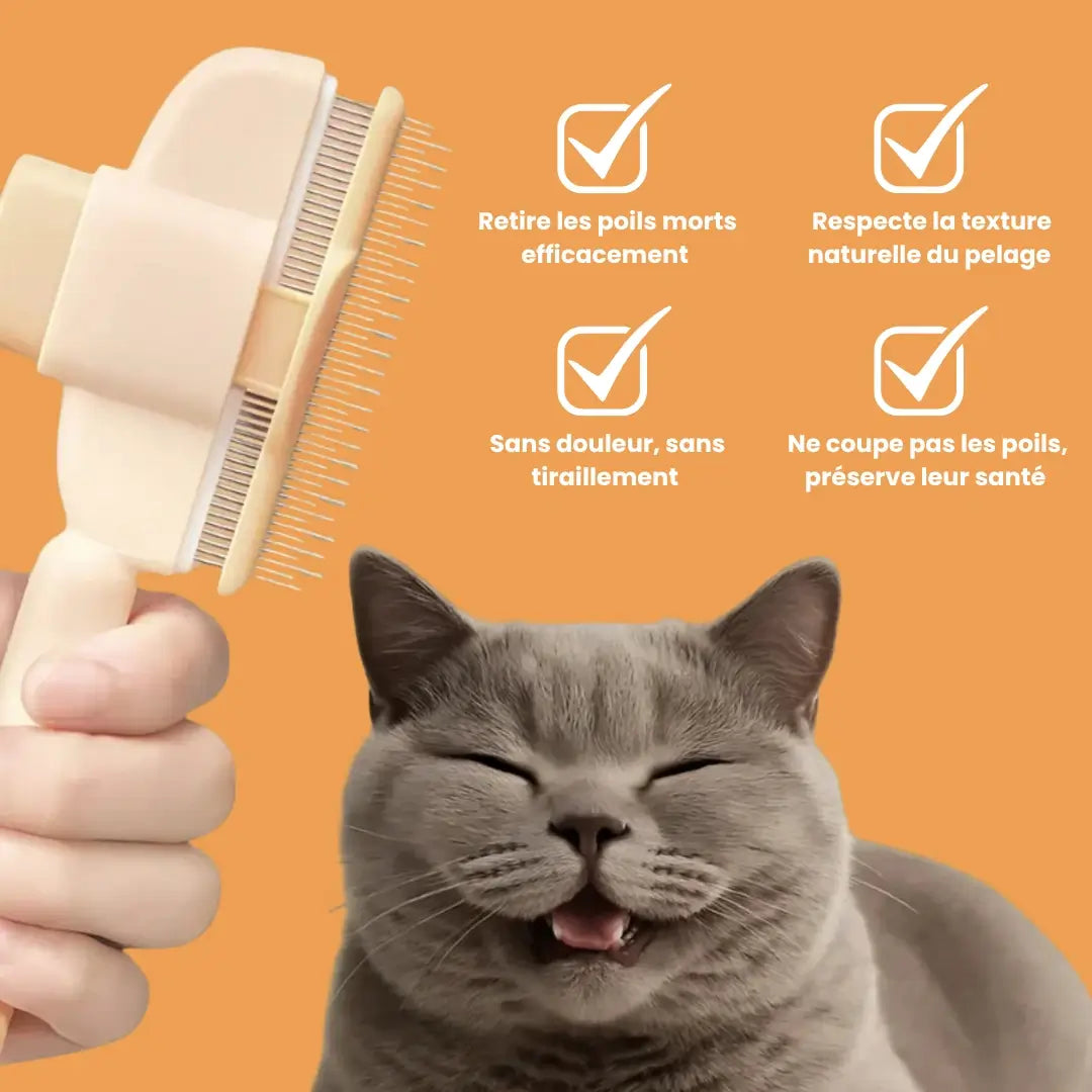 ChatiBrush™ – Brosse anti-poils morts