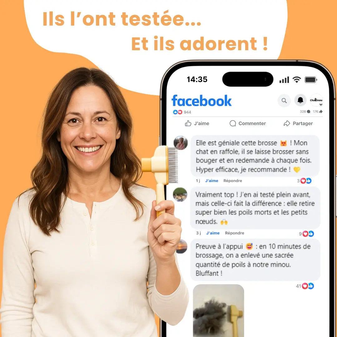 ChatiBrush™ – Brosse anti-poils morts