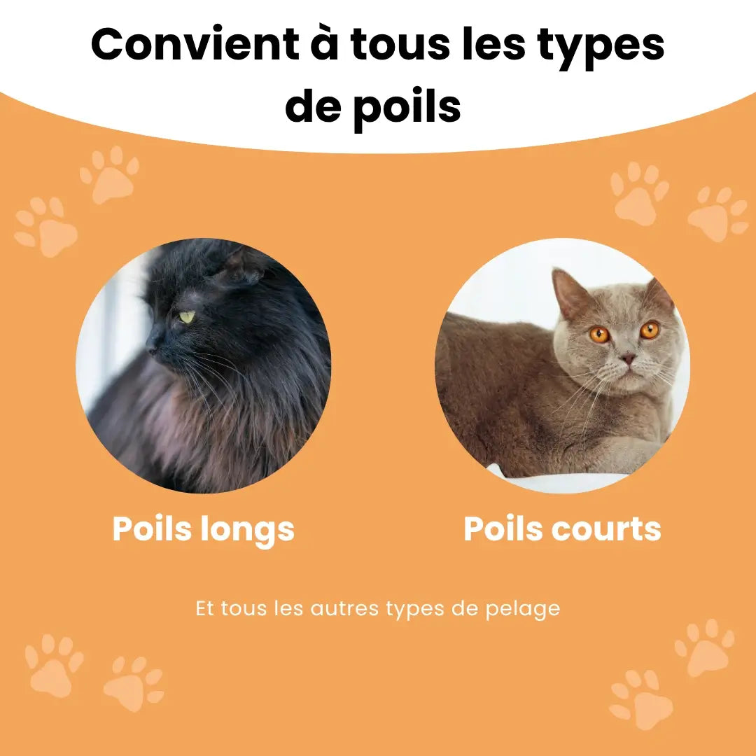 ChatiBrush™ – Brosse anti-poils morts