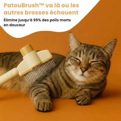 ChatiBrush™ – Brosse anti - poils morts - Chatinou