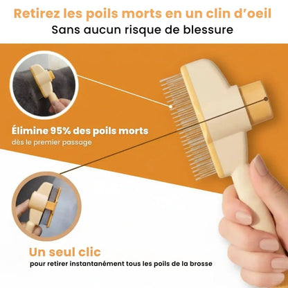 ChatiBrush™ – Brosse anti - poils morts - Chatinou