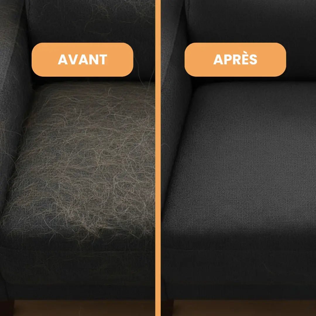 ChatiClean™ – Gant attrape - poils - Chatinou