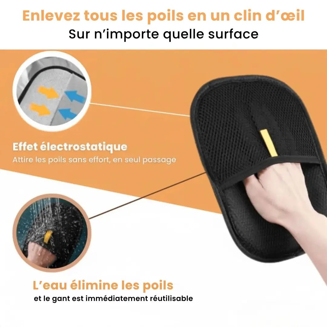 ChatiClean™ – Gant attrape - poils - Chatinou