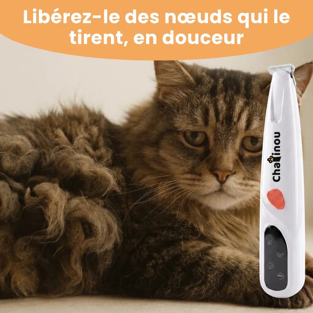 Chatinou™ - Tondeuse de Précision pour Chat - Chatinou